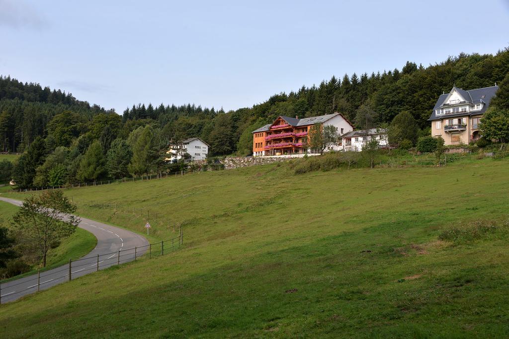 Les Gites D'Adelspach Gites & Spa En Alsace Aubure Εξωτερικό φωτογραφία