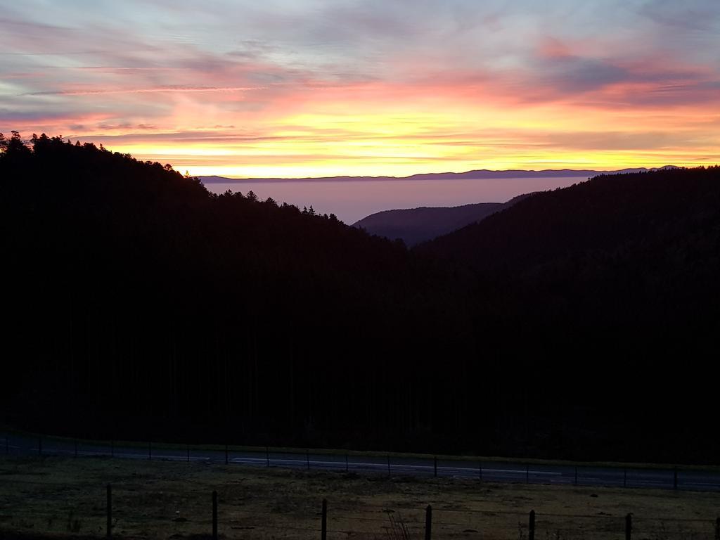 Les Gites D'Adelspach Gites & Spa En Alsace Aubure Εξωτερικό φωτογραφία